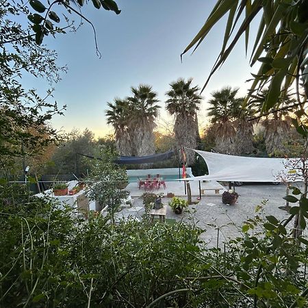 Loft Independiente "La Casita Del Olivo Centenario" 科爾多瓦 外观 照片