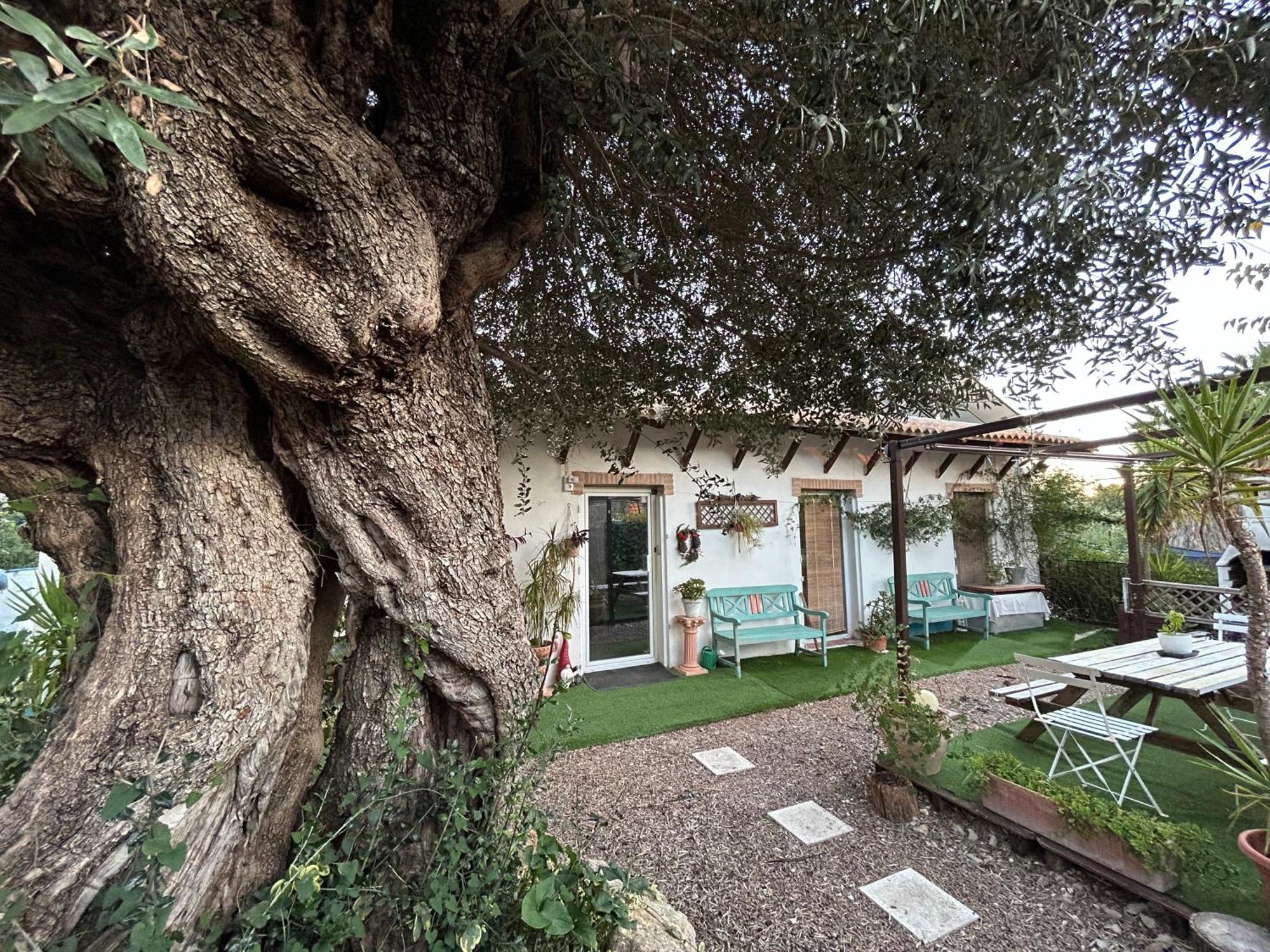 Loft Independiente "La Casita Del Olivo Centenario" 科爾多瓦 外观 照片