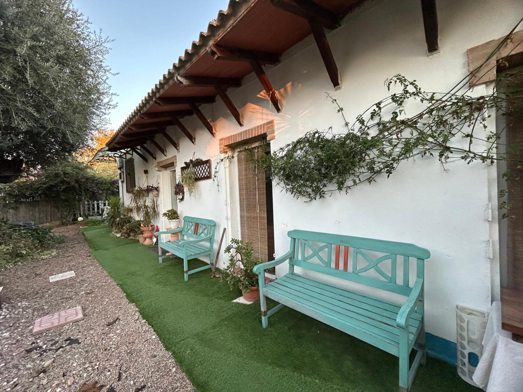 Loft Independiente "La Casita Del Olivo Centenario" 科爾多瓦 外观 照片